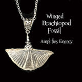 The Winged Brachiopods Necklace