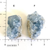 Raw Celestite Cluster Angelic Communication Healing Crystal