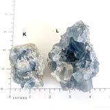 Raw Celestite Cluster Angelic Communication Healing Crystal