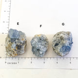 Raw Celestite Cluster Angelic Communication Healing Crystal