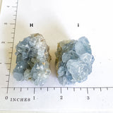 Raw Celestite Cluster Angelic Communication Healing Crystal