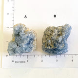 Raw Celestite Cluster Angelic Communication Healing Crystal