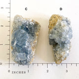 Raw Celestite Cluster Angelic Communication Healing Crystal