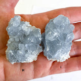 Raw Celestite Cluster Angelic Communication Healing Crystal