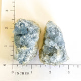 Raw Celestite Cluster Angelic Communication Healing Crystal